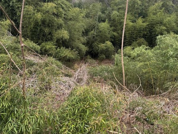 34 Belleair Road , Asheville, NC 28806