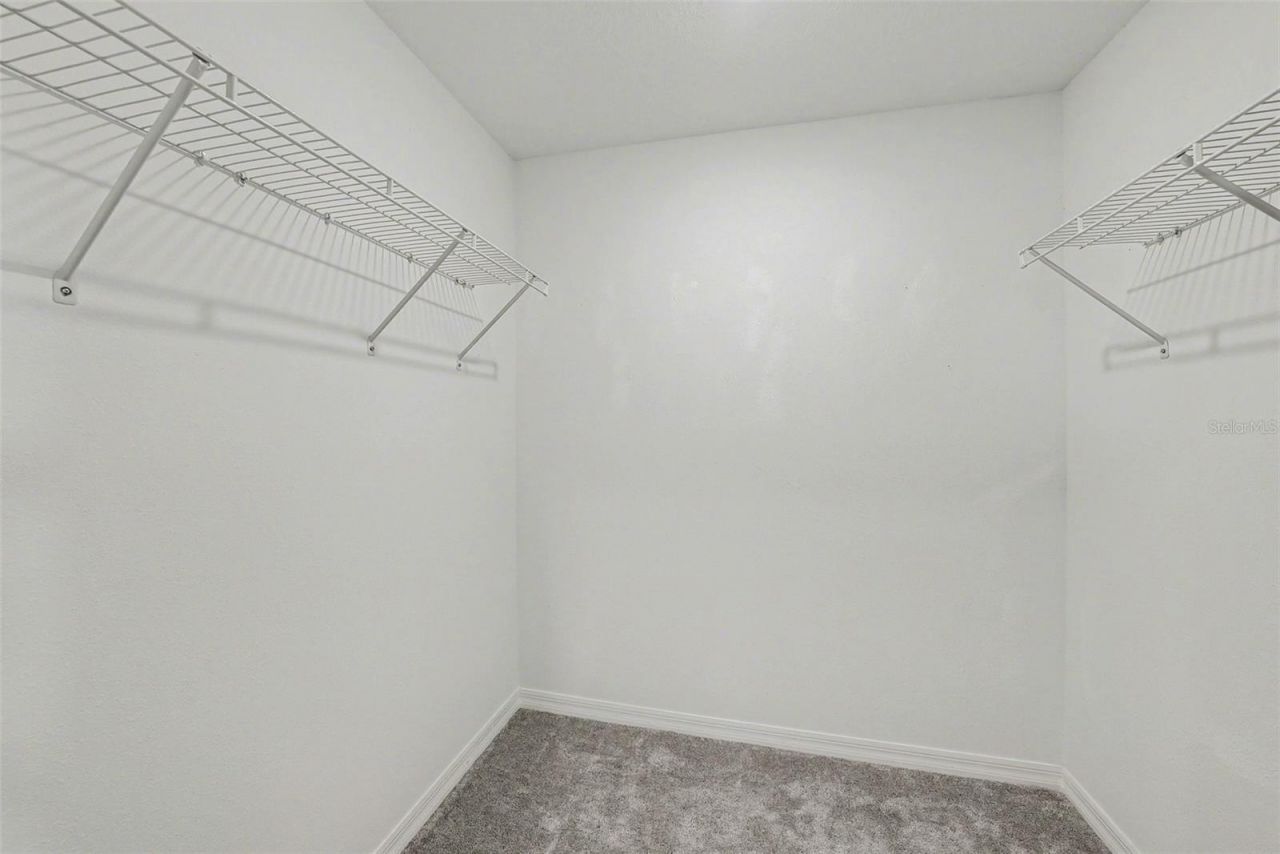 36456 Well Hill Way, Zephyrhills, FL 33541 Photo