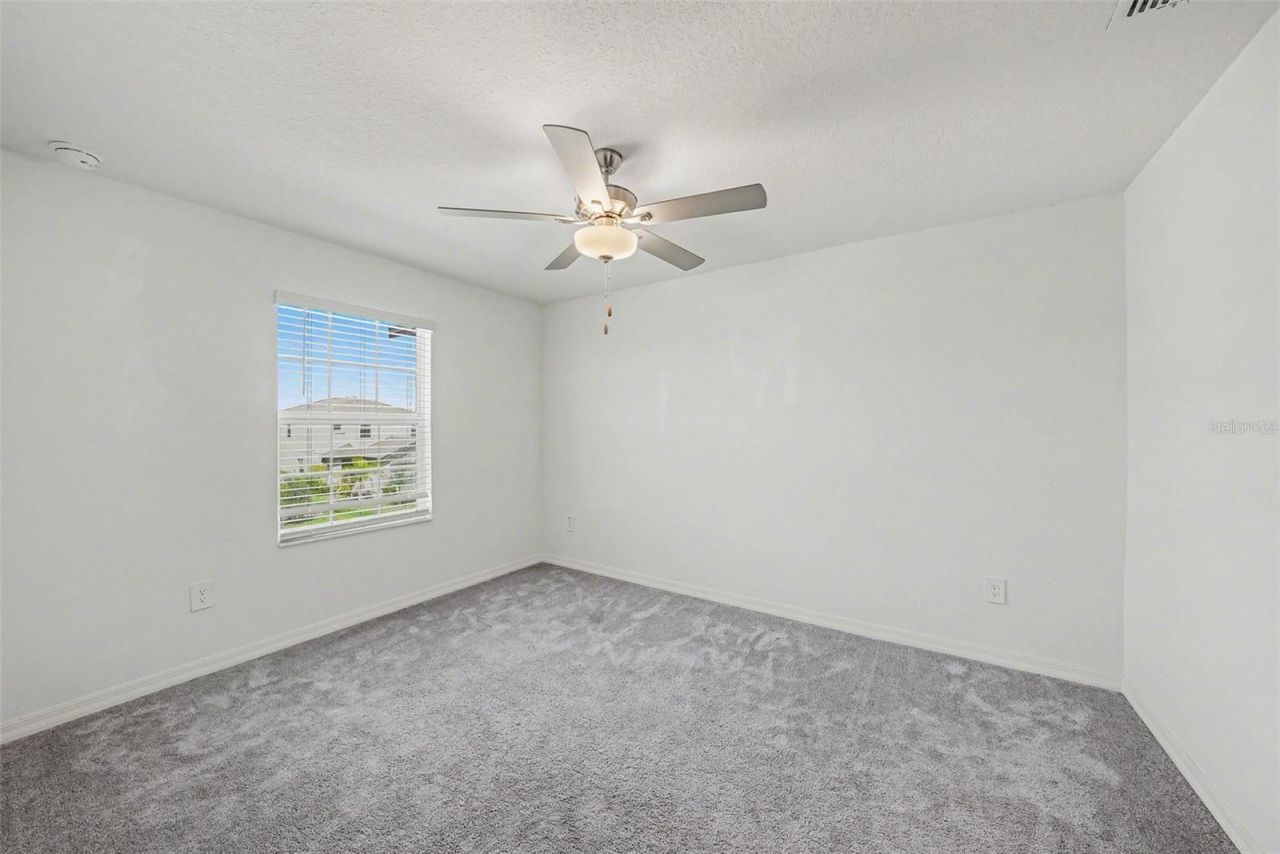 36456 Well Hill Way, Zephyrhills, FL 33541 Photo