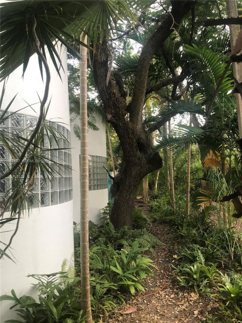 3151 Freeman St, Miami, FL 33133 Photo