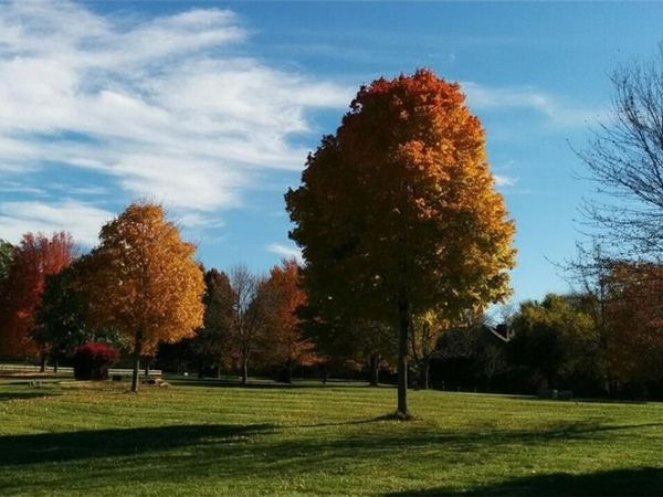 23700 E 88th Street, Lee's Summit, MO 64064