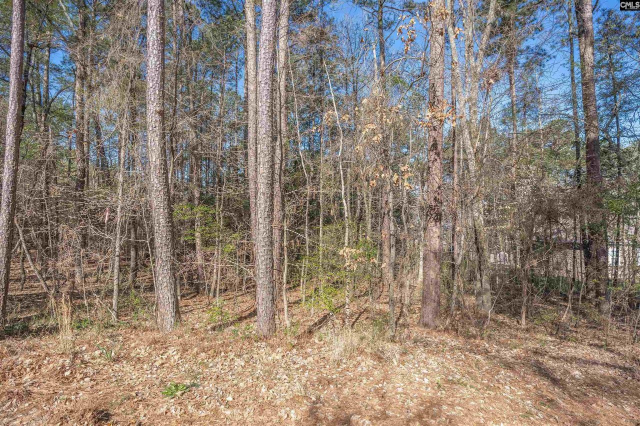 Tbd Sc Highway 215 Photo 13