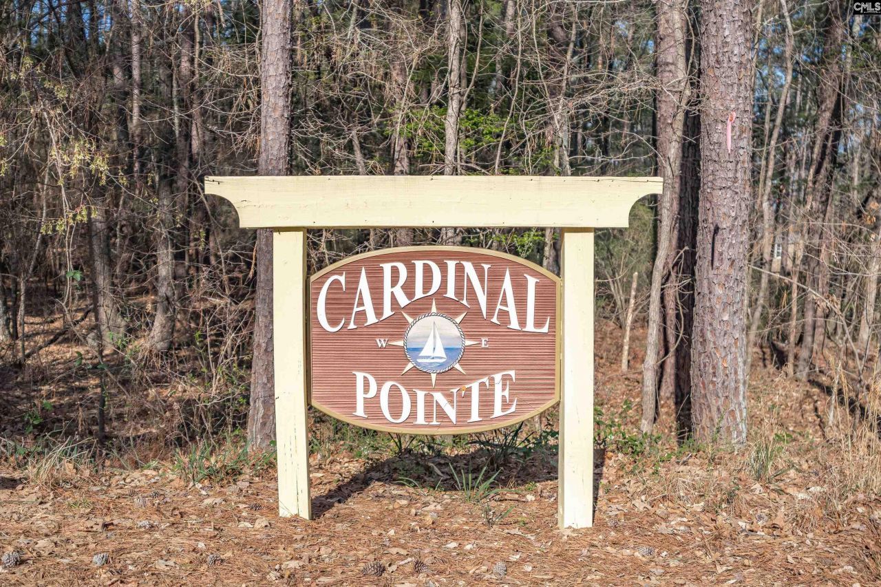 Tbd Sc Highway 215 Photo 14