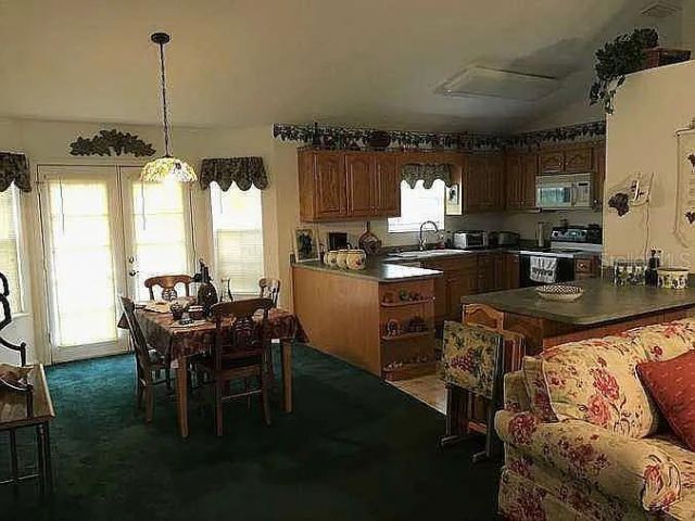 363 SW Monroe Avenue , Mayo, FL 32066 Photo