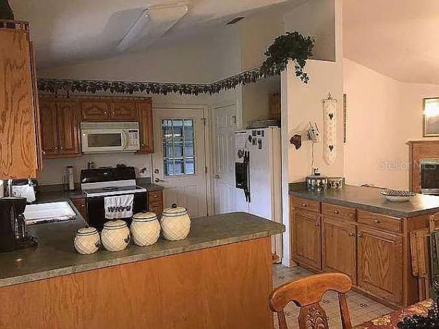 363 SW Monroe Avenue , Mayo, FL 32066 Photo