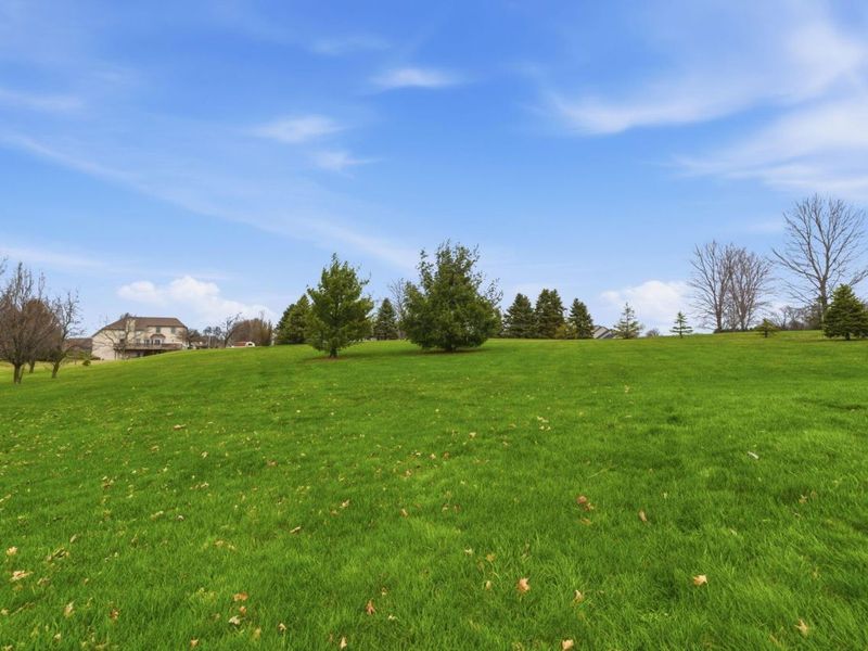 11092 Red Fox Street , Canal Winchester, OH 43110 Photo 4