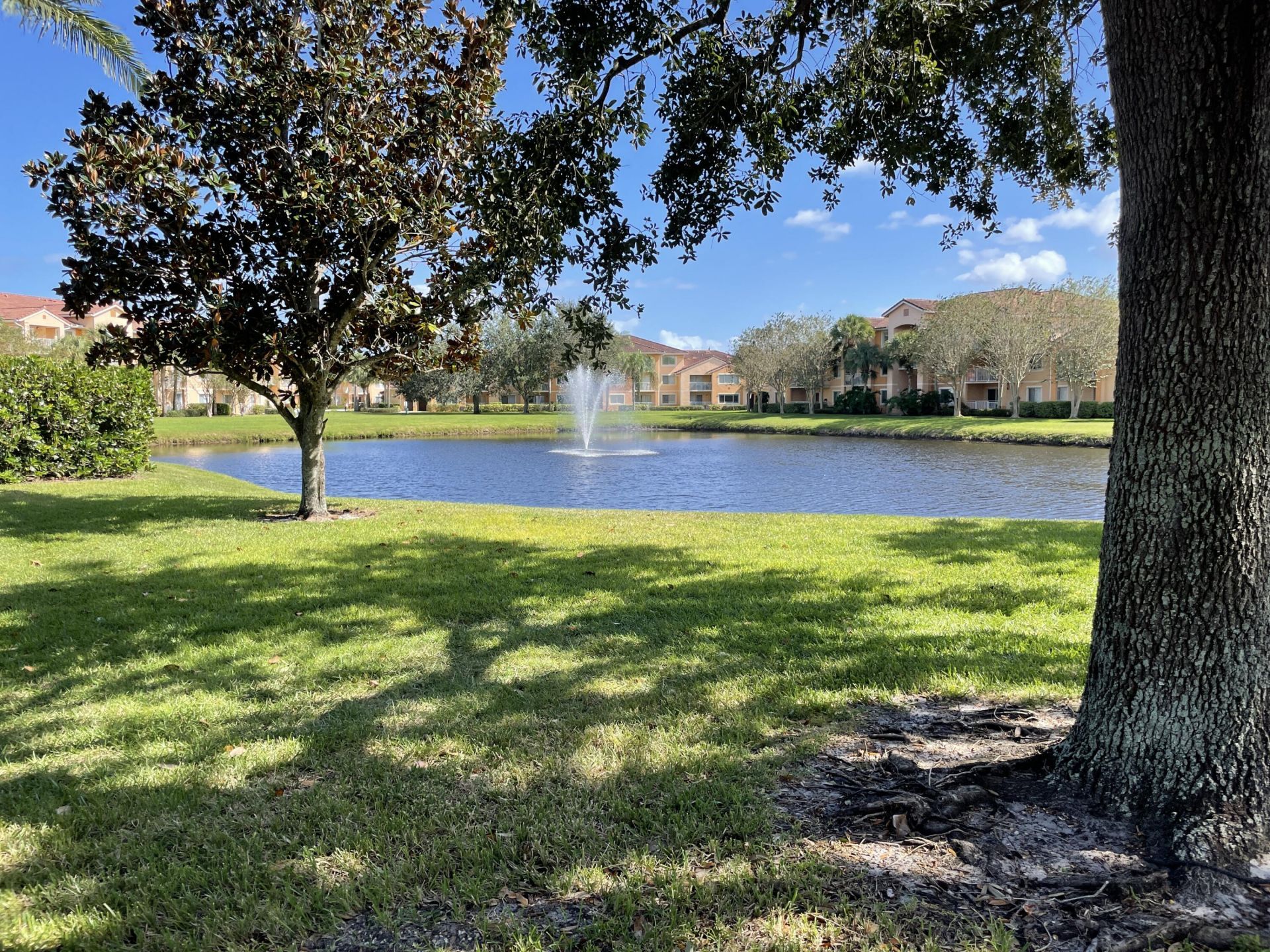 241 SW Palm Drive, Unit 203, Port Saint Lucie, FL 34986 Photo