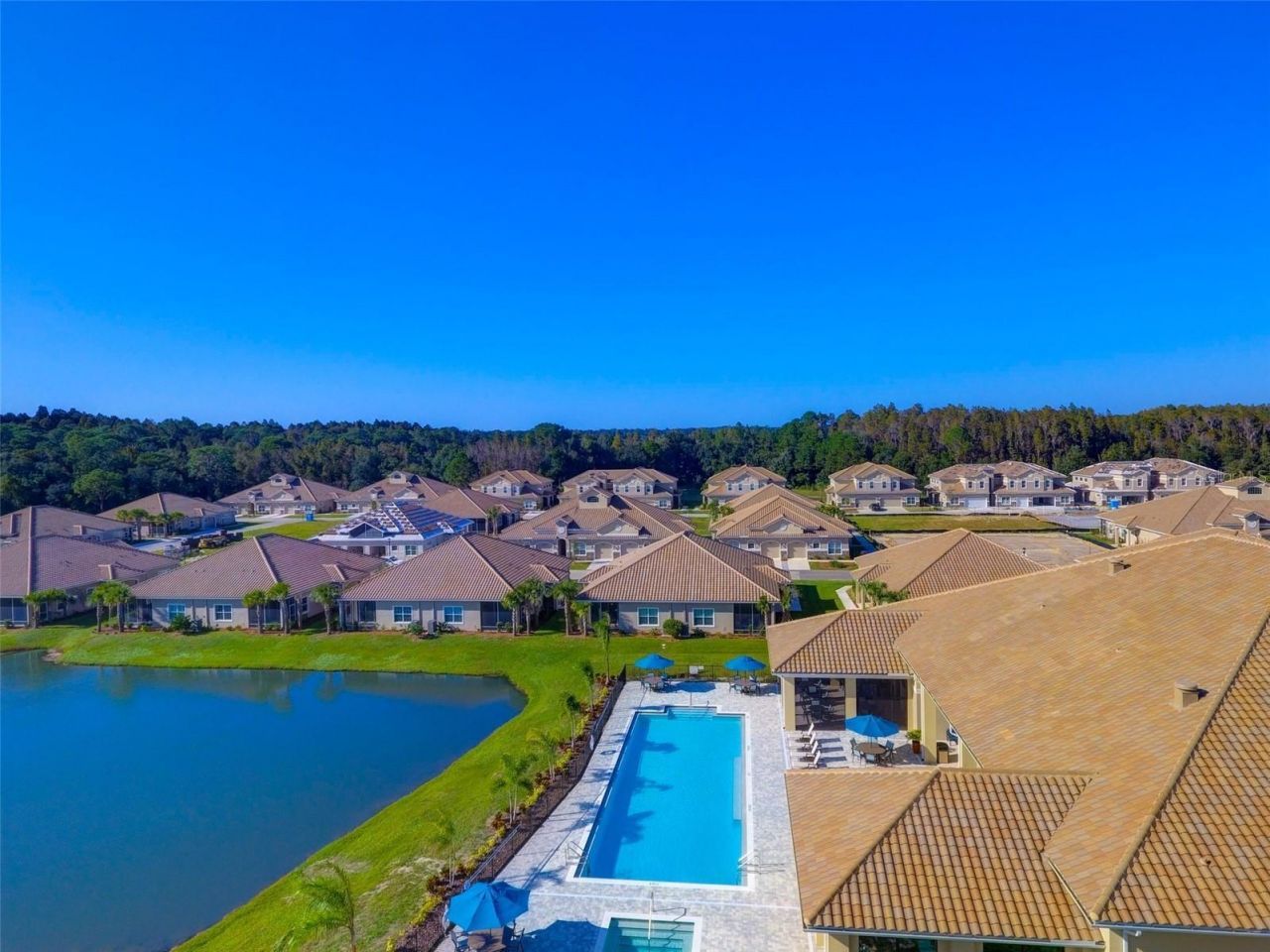 1231 Godavari Way, Unit 103, Wesley Chapel, FL 33543 Photo