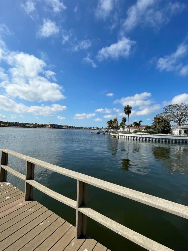 3900 14th Lane Ne, Saint Petersburg, FL 33703 Photo