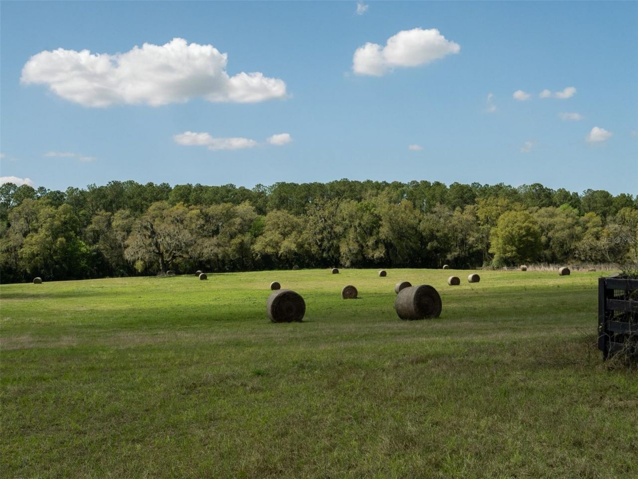 1100 SW 110th Avenue , Ocala, FL 34481 Photo