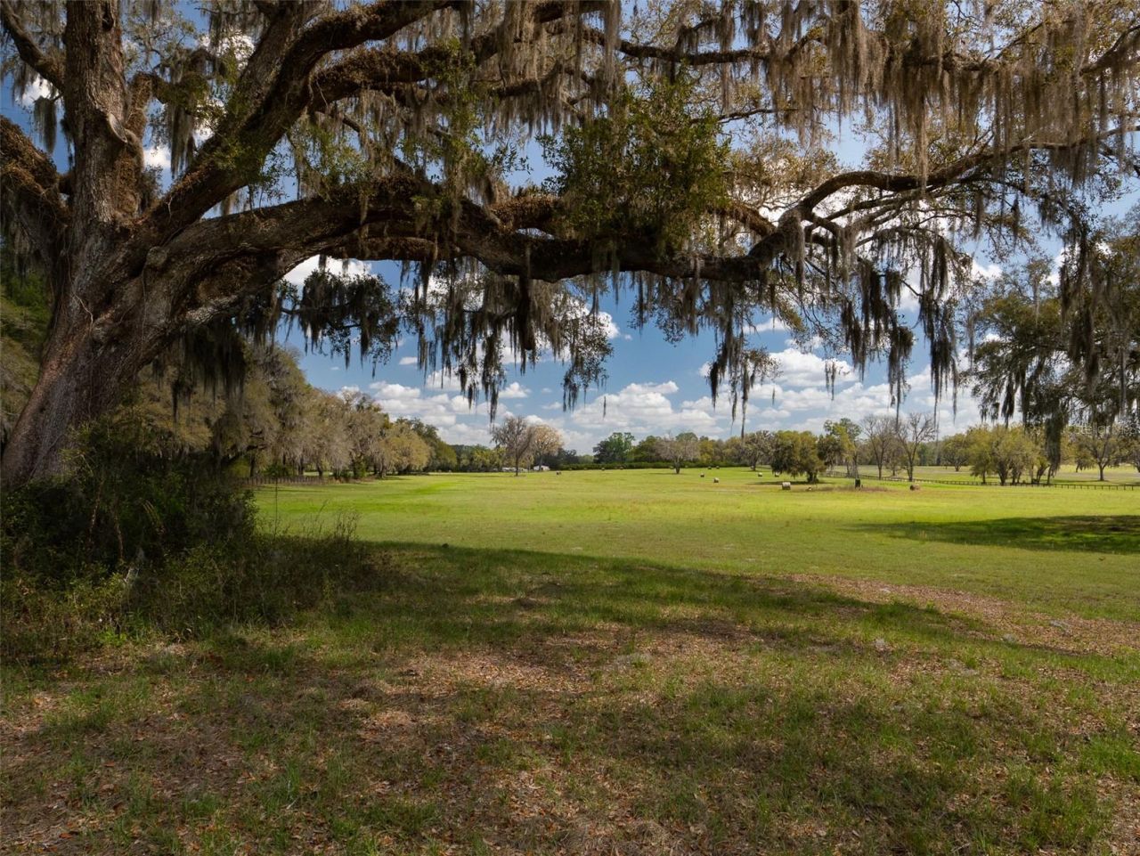 1100 SW 110th Avenue , Ocala, FL 34481 Photo