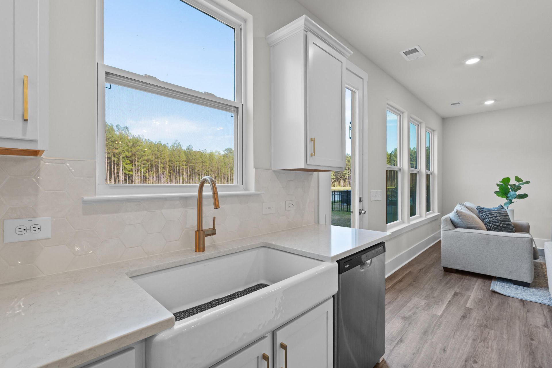 223 Summer Tanager Drive Photo 12