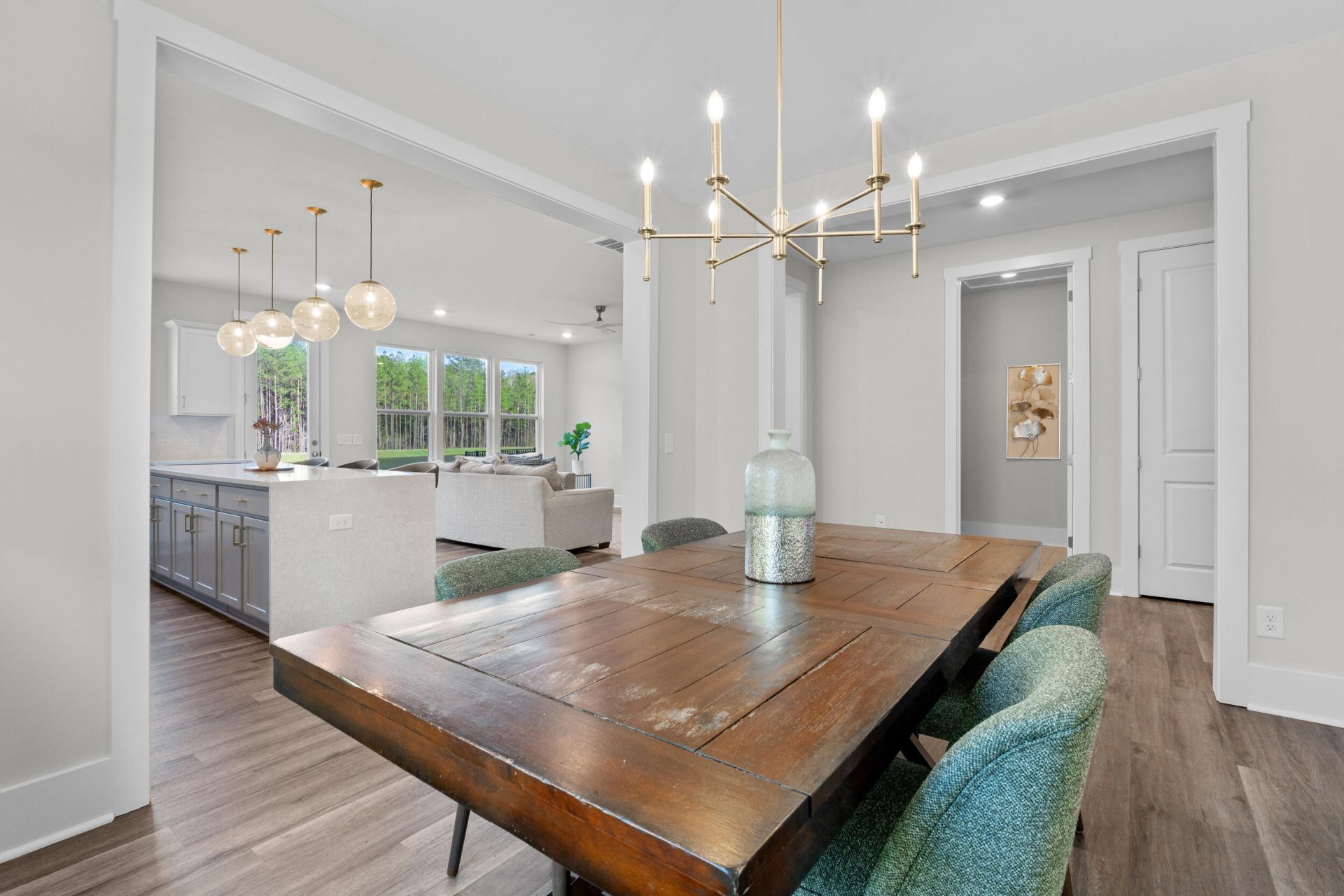 223 Summer Tanager Drive Photo 14
