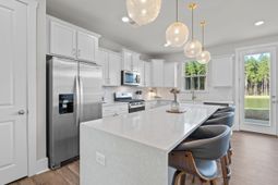 223 Summer Tanager Drive photo 4