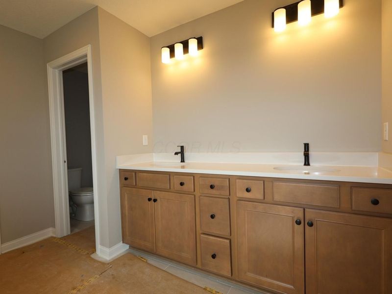 270 River Birch Drive, Galena, OH 43021 Photo 12