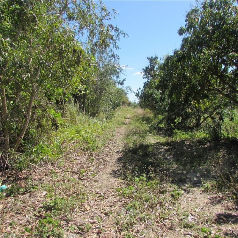 13171 Samadani Ln , Bokeelia, FL 33922 Photo