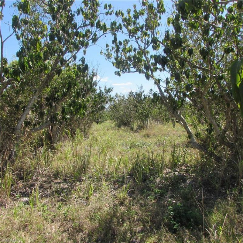 13171 Samadani Ln , Bokeelia, FL 33922 Photo