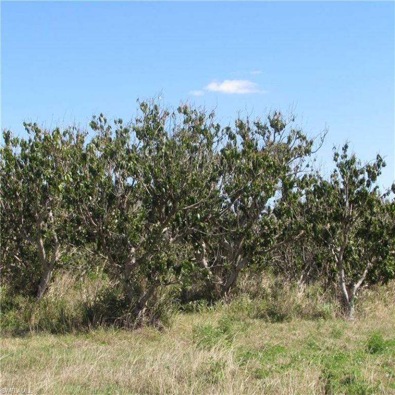 13171 Samadani Ln , Bokeelia, FL 33922 Photo