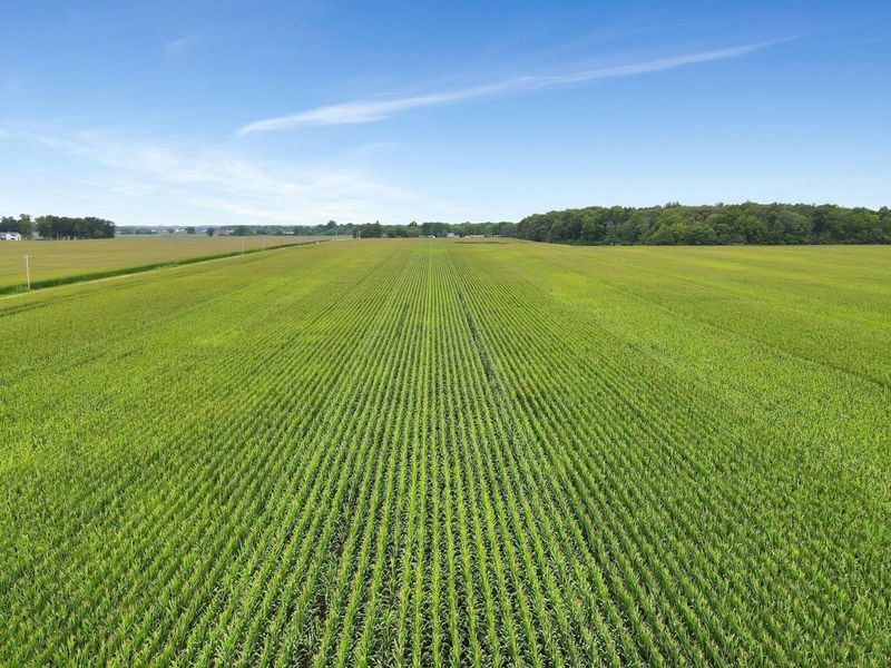 0 Duvall Road, Ashville, OH 43103 Photo 9