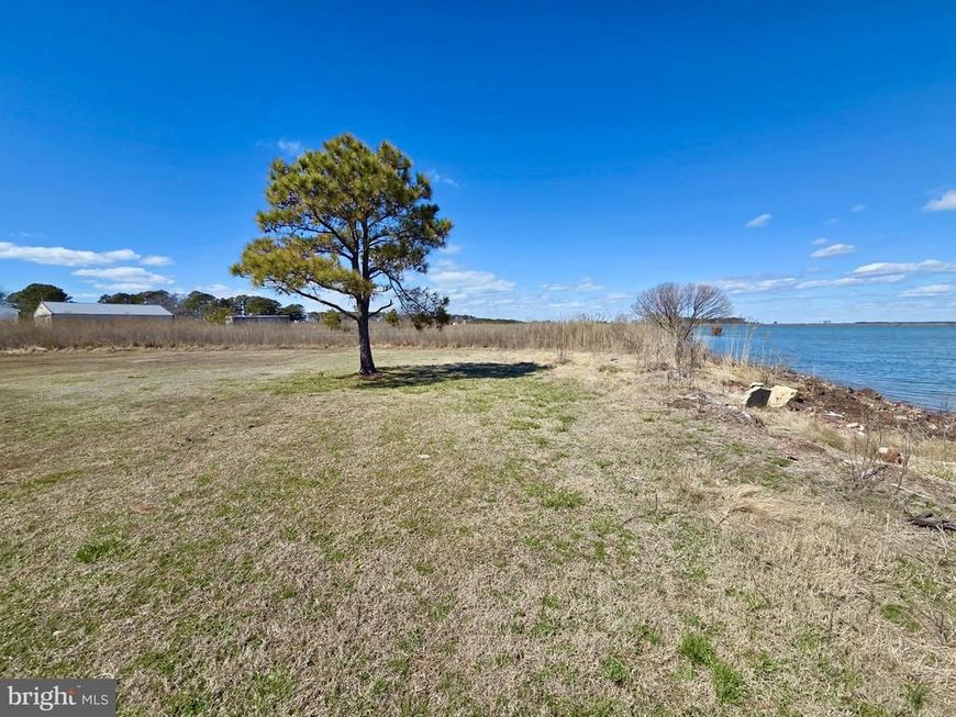 Waterfront Honga River - Waterfowl Steamboat Wharf, Fishing Creek, MD 21634 Main Photo