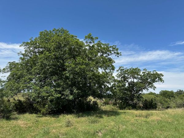 45 acres County Road 330 , Bertram, TX 78605