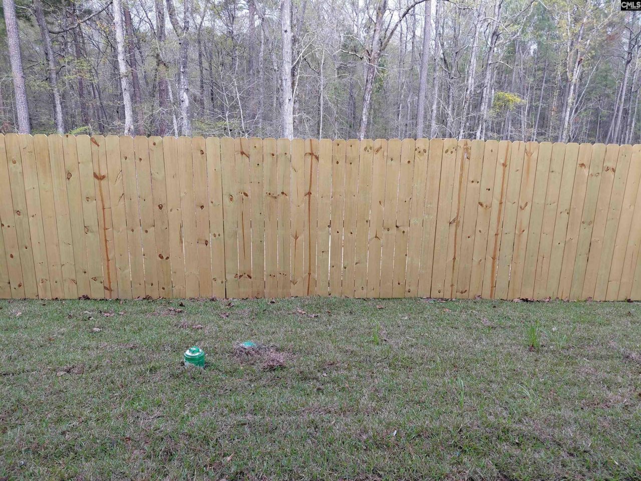 1036 Tundra Teal Lane Photo 17