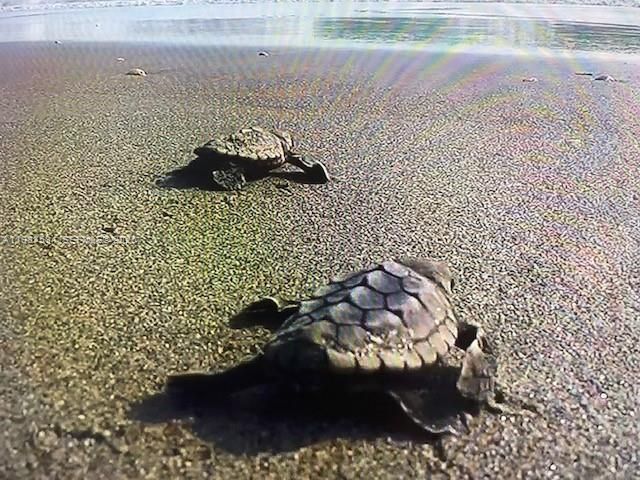 19670 Beach Rd, Unit B323, Tequesta, FL 33469 Photo