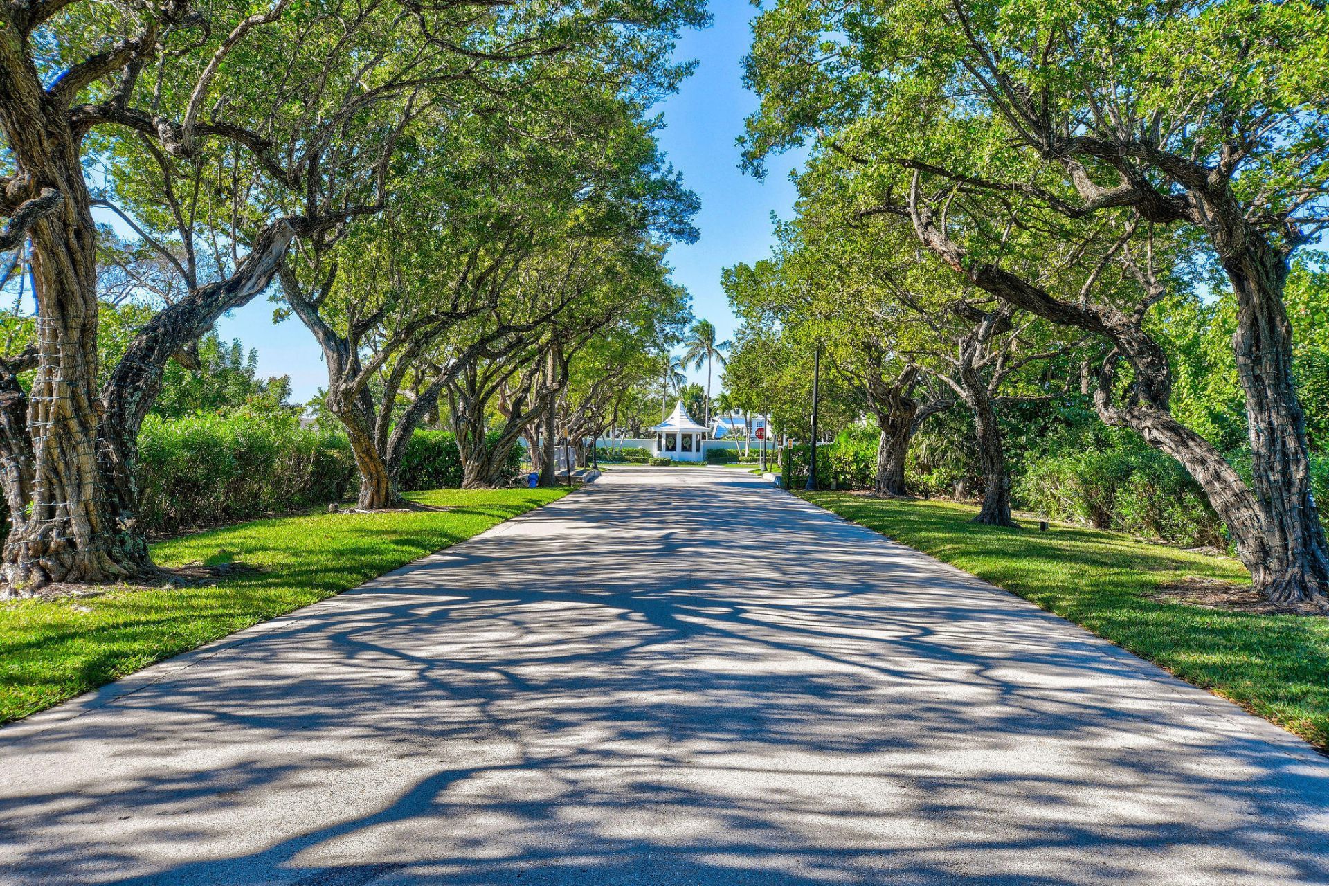 2180 Ibis Isle Road, Unit 12, Palm Beach, FL 33480 Photo