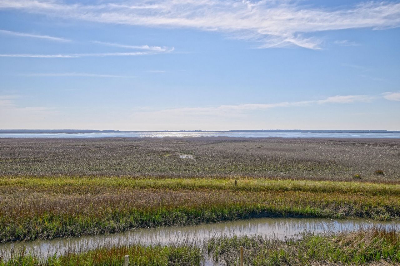 1538 Periwinkle Drive Photo 5