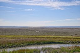 1538 Periwinkle Drive photo 4