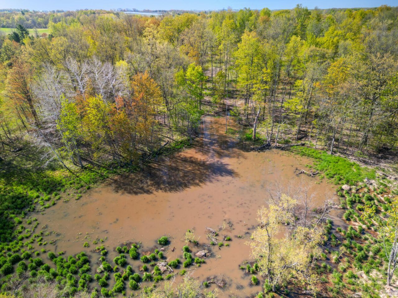 2119 W 116th Street, Grant, MI 49327 Main Photo