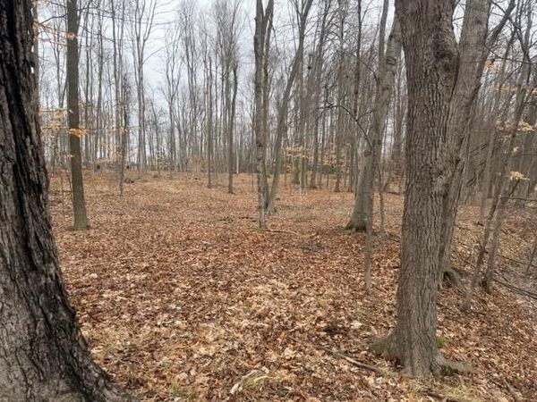 2119 W 116th Street, Grant, MI 49327