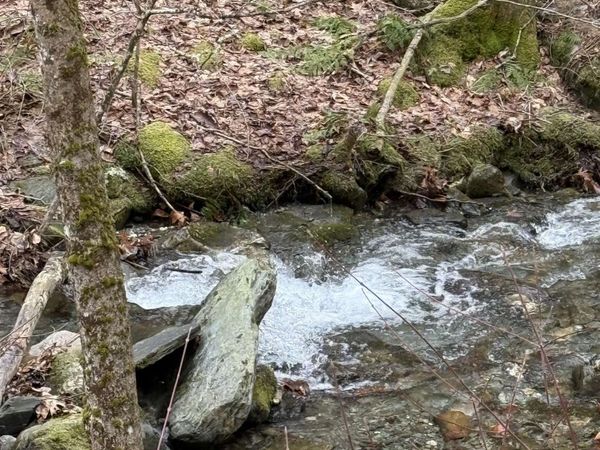 3465 Lamb Hill Road, Wells, VT 05774