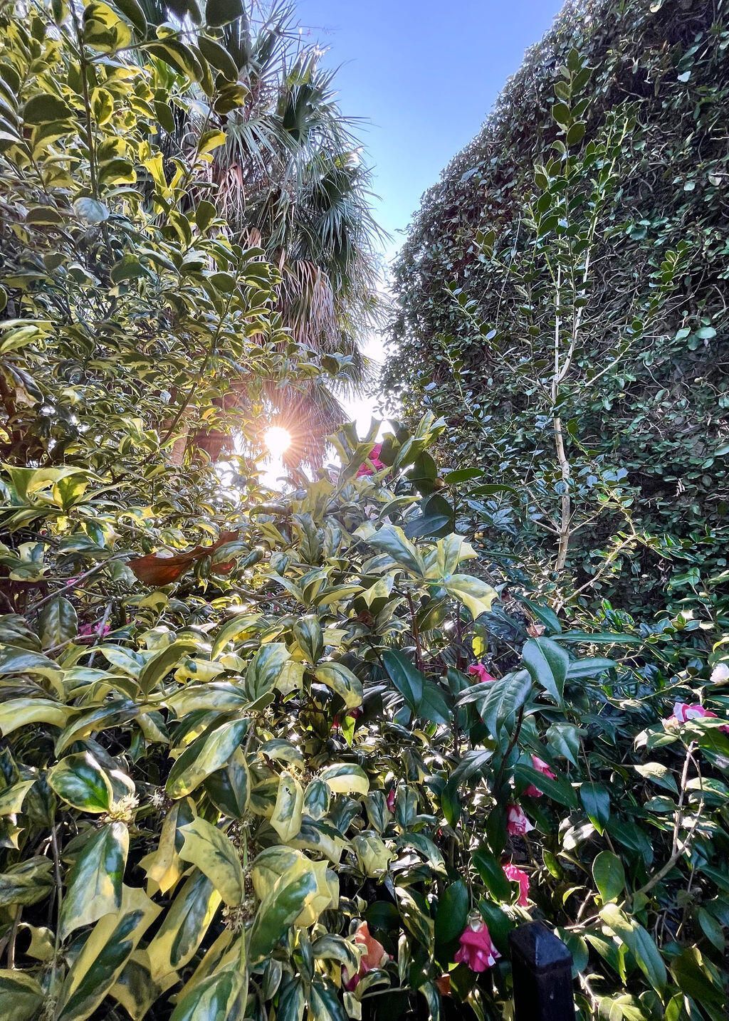 32 1/2 Chapel Street Photo 21