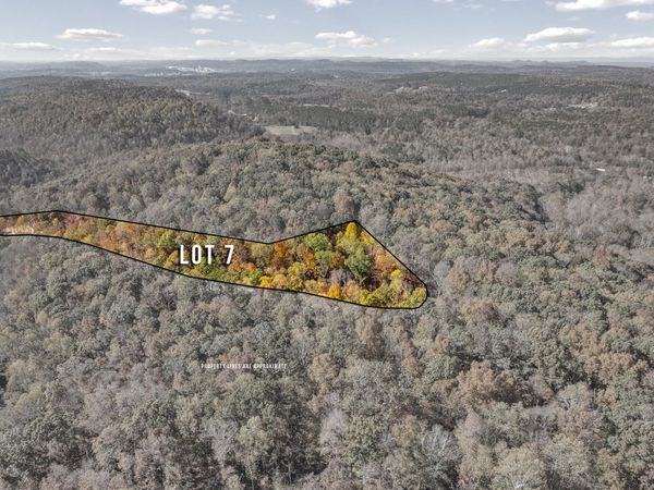 Lot 7 County Road 29, Riceville, TN 37370