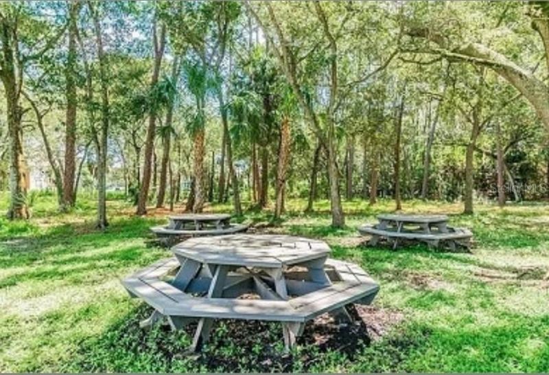 1400 Gandy Boulevard N, Unit 512, Saint Petersburg, FL 33702 Photo