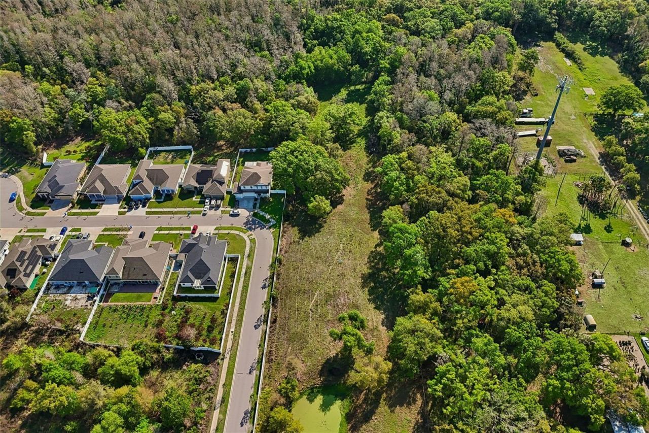 6213 Orient Road , Tampa, FL 33610 Photo