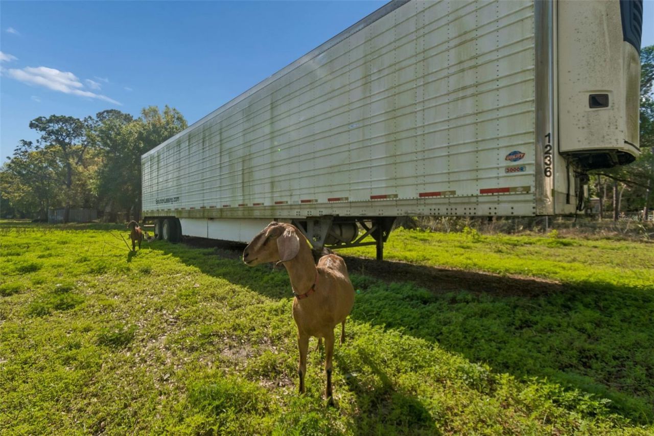 6213 Orient Road , Tampa, FL 33610 Photo