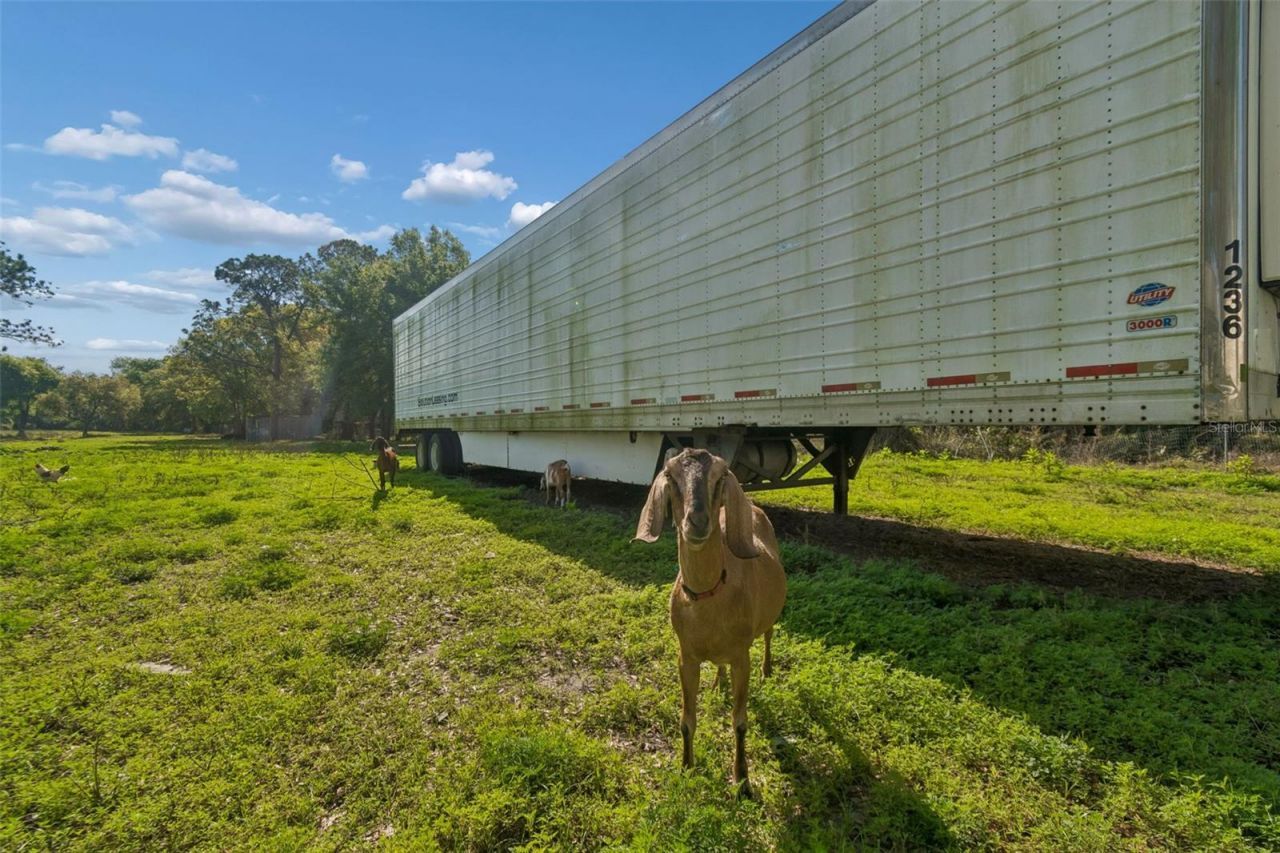 6213 Orient Road , Tampa, FL 33610 Photo