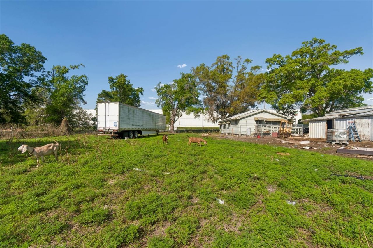6213 Orient Road , Tampa, FL 33610 Photo