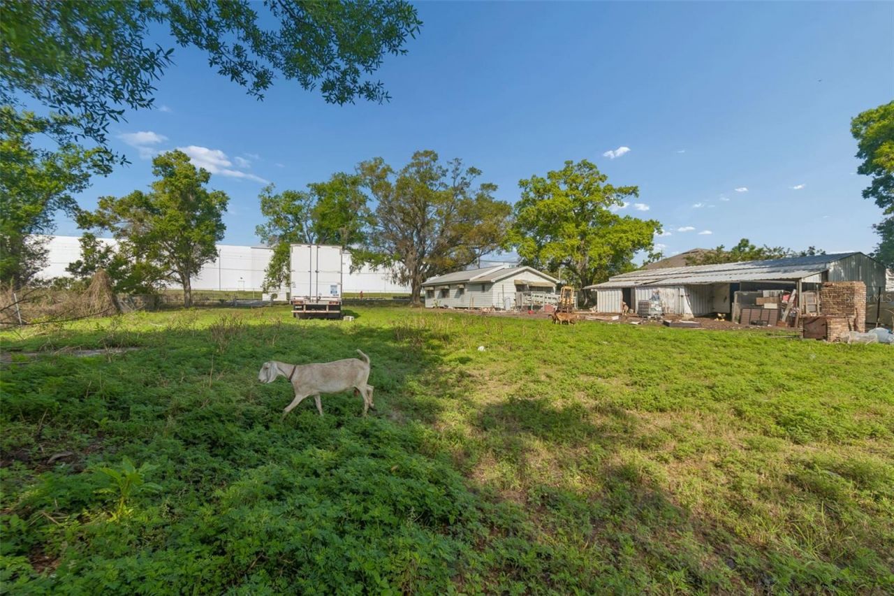 6213 Orient Road , Tampa, FL 33610 Photo