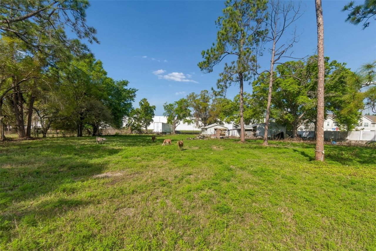 6213 Orient Road , Tampa, FL 33610 Photo