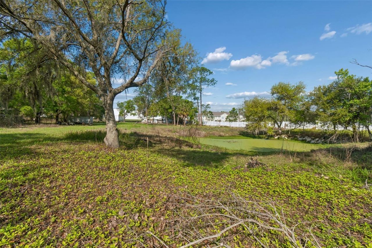 6213 Orient Road , Tampa, FL 33610 Photo