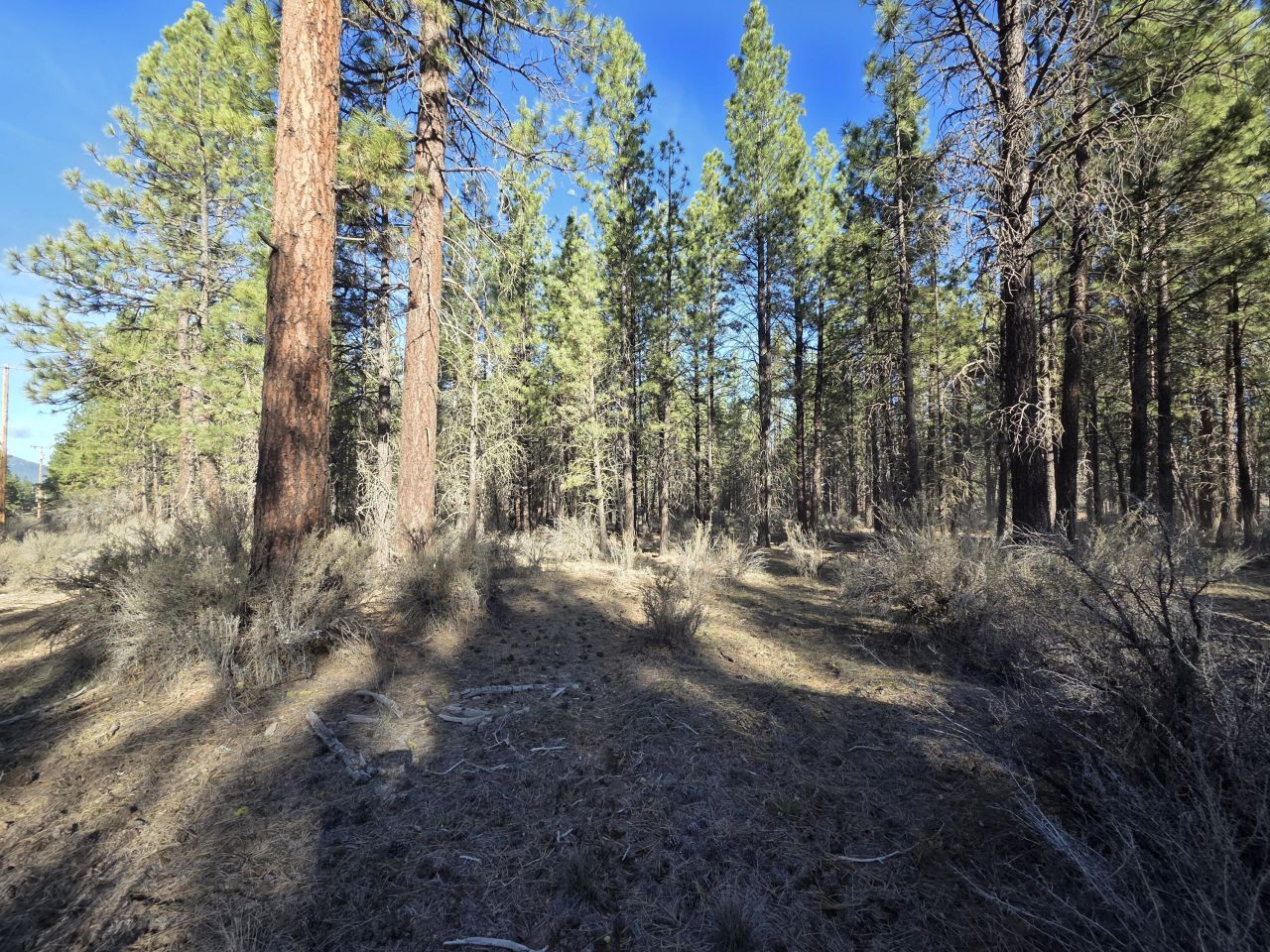 0 Grey Wolf Lane, Lot #Lot 7, Chiloquin, OR 97639 Main Photo
