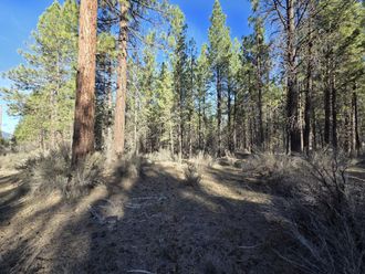 0 Grey Wolf Lane Chiloquin, OR 97639