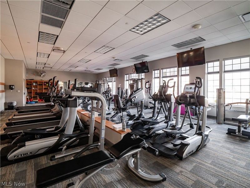 37952 Ashfield Way, North Ridgeville, OH 44039 Photo 32