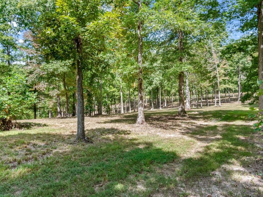 Property Image 86