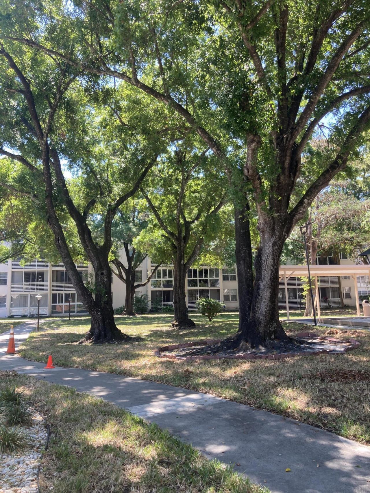 2650 NW 49th Avenue, Unit 327, Lauderdale Lakes, FL 33313 Photo