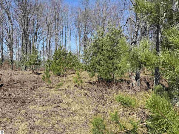 Landis Road, Thompsonville, MI 49683