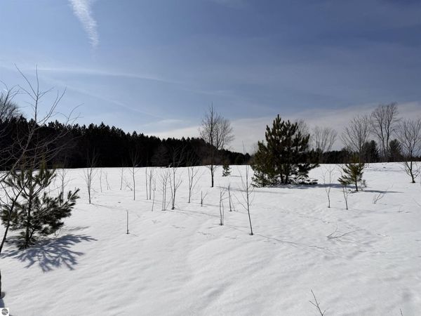 Landis Road, Thompsonville, MI 49683